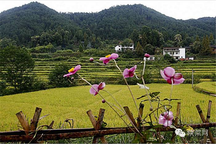 陕菜必吃榜第一名,中国最高端的陕菜