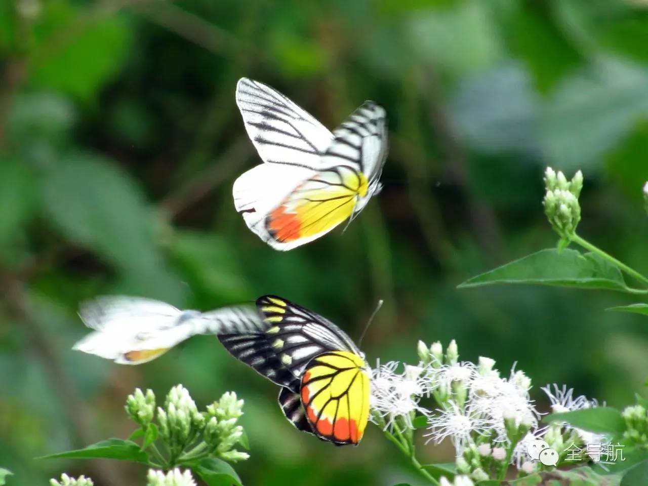 新闻|甘肃省招研单位明年预计招硕士生9429人；女子偷走男友银行卡*取盗**3.8万元挥霍；男子无证驾车把交警撞出800多米