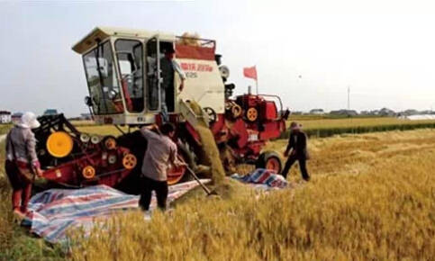 26个英文字母带你看懂我们大如东!