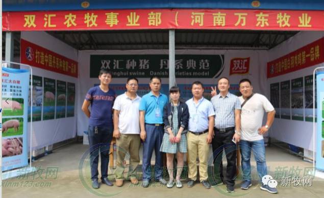 河南养猪业巨头,河南养猪身价百倍