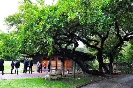 川航发布成都直飞洛杉矶新航线：10月17日首航！往返价2899元！（不含税）