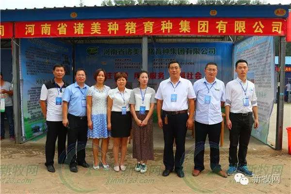 河南养猪业巨头,河南养猪身价百倍