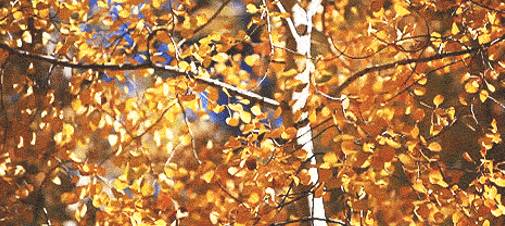 科学小记者招募,科学小记者活动