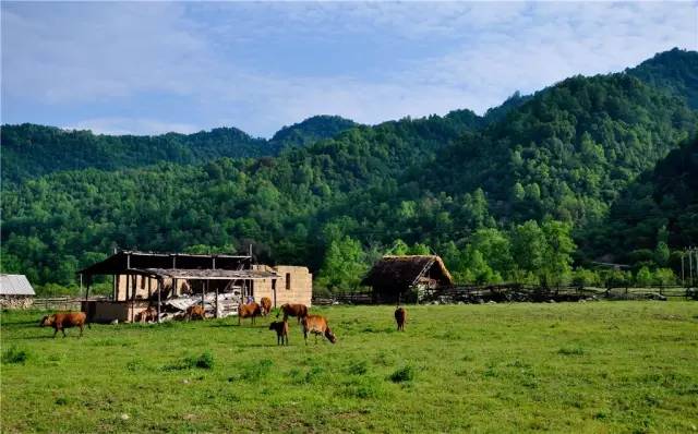 为祖国庆生祝愿祖国繁荣昌盛,为祖国庆生不忘初心