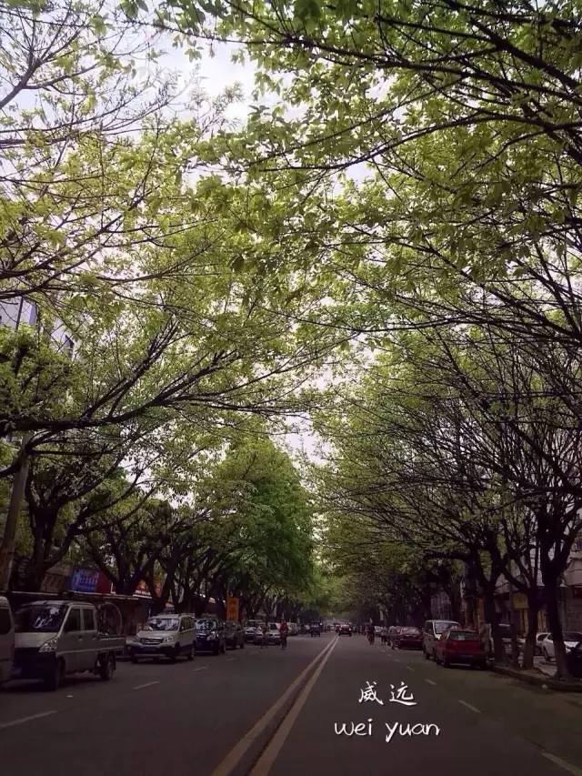 佛山十大网红景点推荐自驾游,说走就走重庆旅游攻略