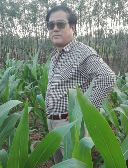 蝶恋花二首其一,蝶恋花二首宋欧阳修拼音