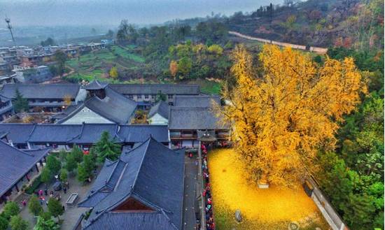 中国秋天最美的十个地方,秋天最美的旅游地点