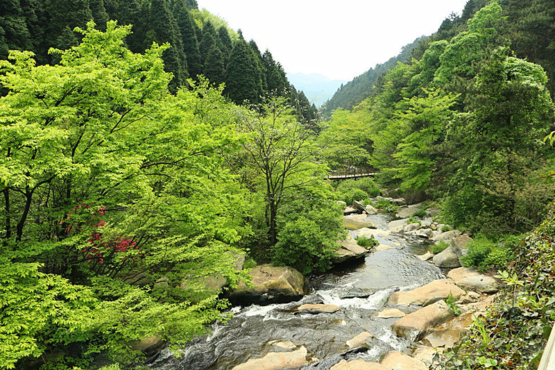 再秘密也得曝光！庐山这13个精品酒店完全让人死去活来！