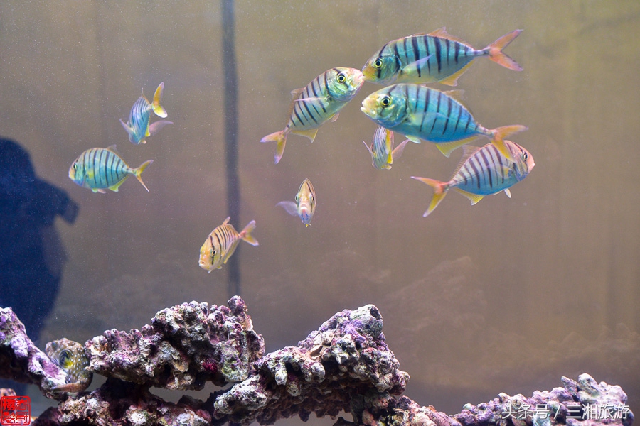 株洲漂流门票,株洲周边免门票游玩