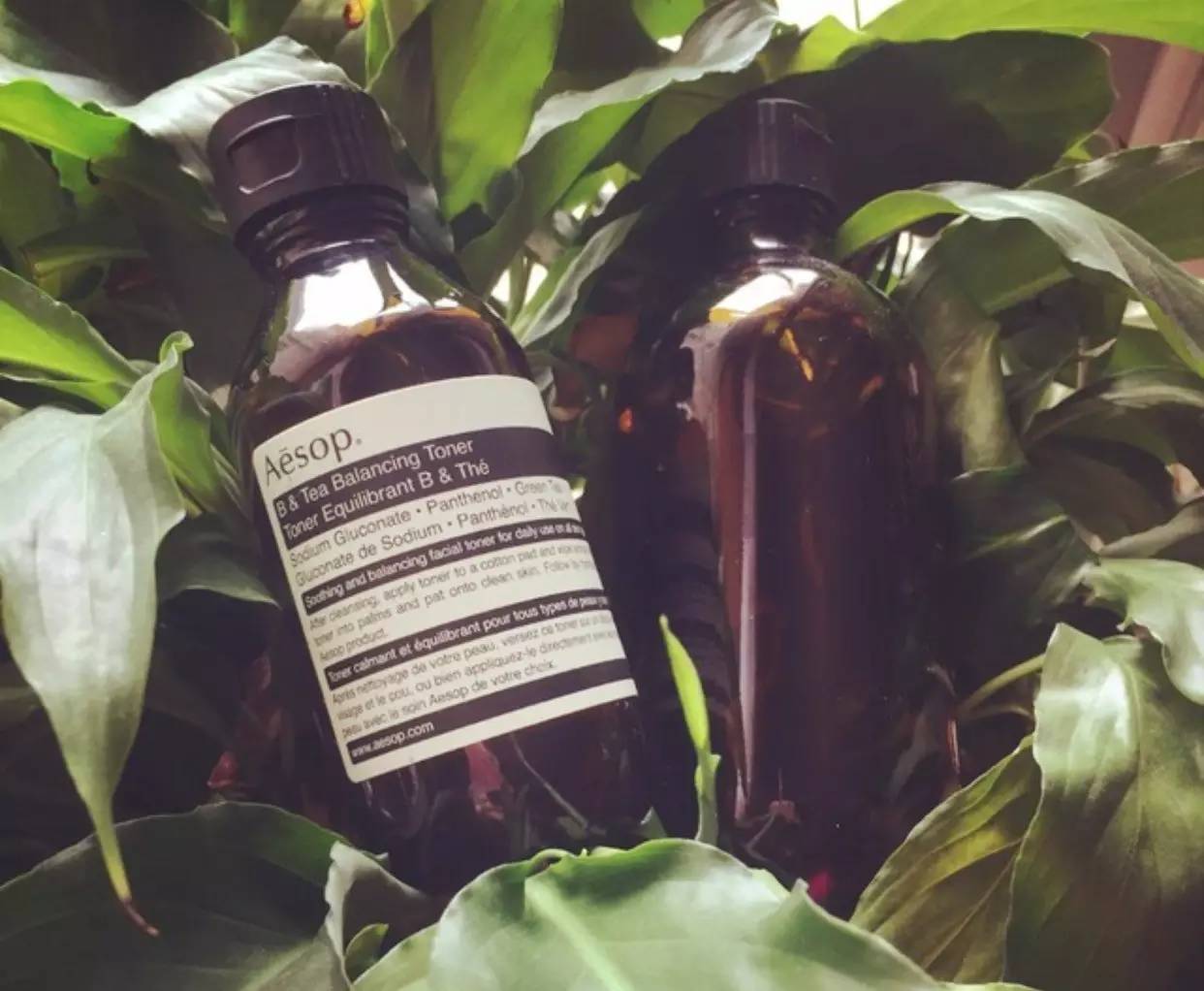 伊索aesop护肤品怎么样,澳洲aesop伊索香芹籽