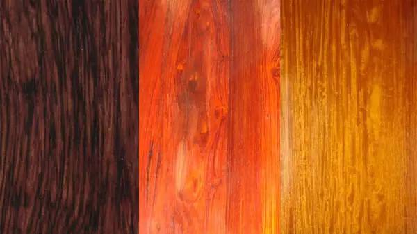 埋藏在地下的酸枝木,酸枝木类