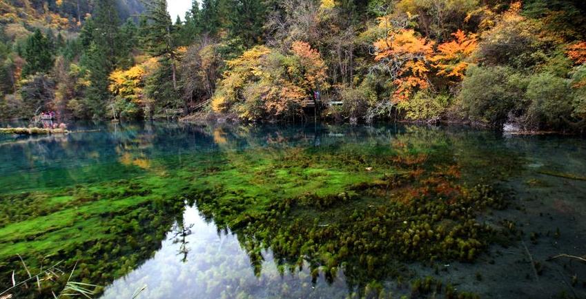 九寨沟现在能去吗,九寨沟怎么去最方便