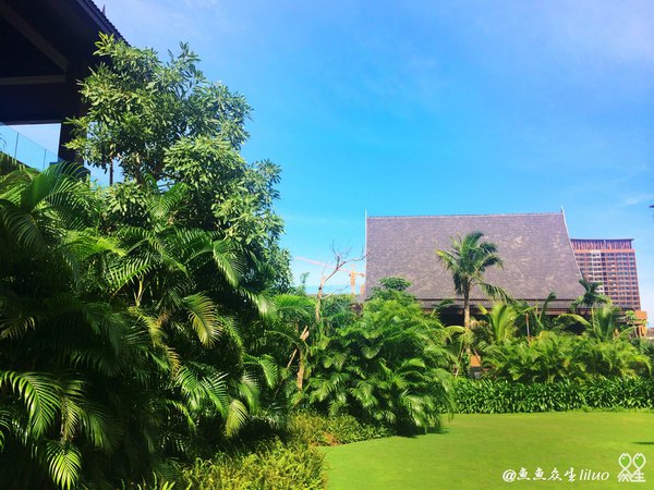 泡在三亚，一家度假酒店足以