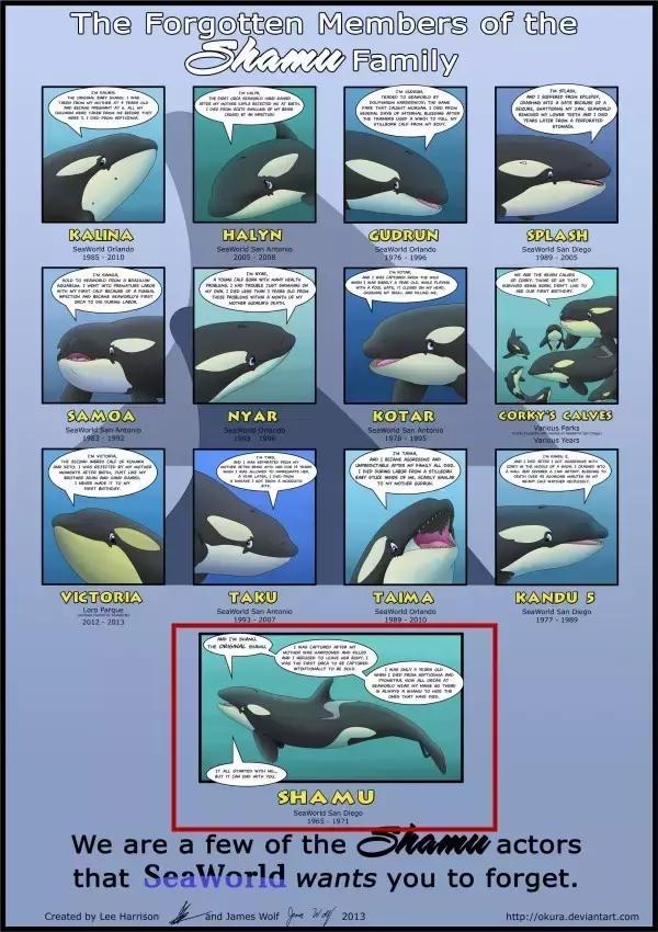 挖到一部冷门佳作,挖到一部冷门好片