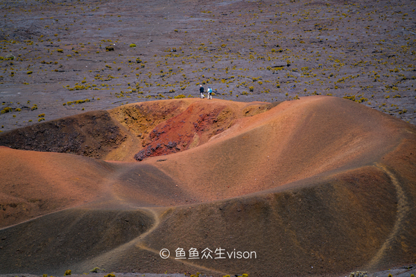 揭秘金银岛宝藏之谜,金银岛神秘之谜
