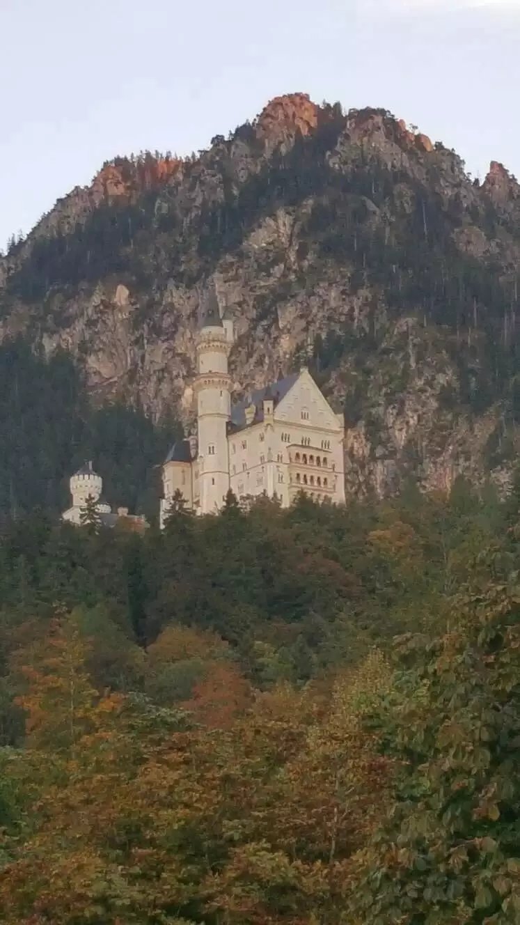 蓝瘦香菇在这里视频,蓝瘦香菇在法国