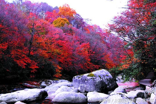 九寨沟包车旅游真实感受,九寨沟旅游4天3晚团报价查询