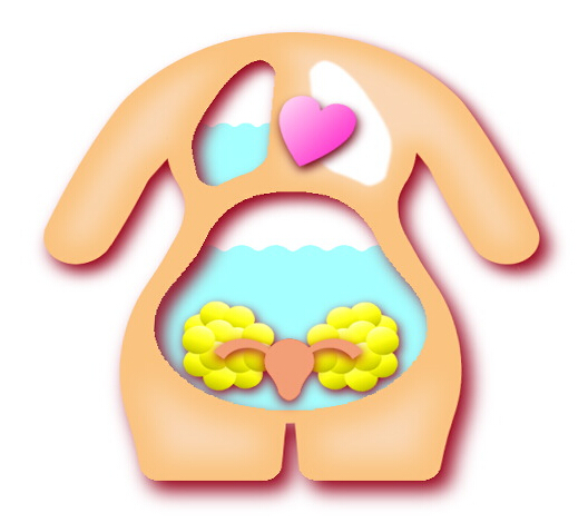 宫腔镜手术需要清肠吗,宫腔镜手术需要用水扩大宫腔吗