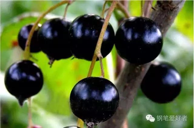 种草辑|说好的彩墨坑，准备好跳了么！？（再续篇）