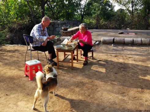 大北农豫剧团和辉县豫剧团,辉县大北农豫剧团乐队