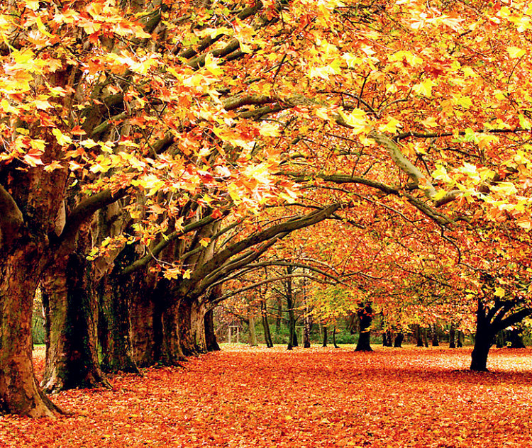 有些人注定就是要离开故乡的,有些人注定要远走他乡