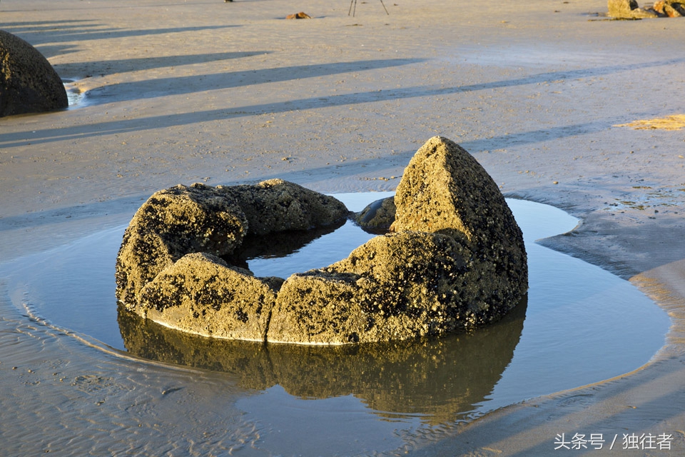 摩拉基大圆石,摩拉基大圆石沙滩