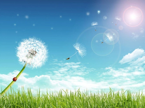 哪些食物易引发紫外线过敏,吃了蔬菜皮肤过敏