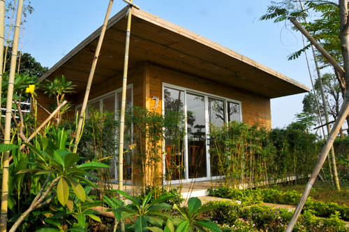 〈花开园〉顺德一间靓到“氹”一声的花园食府，赏花喂牛亲子