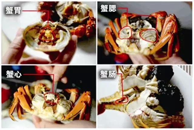 秋风起蟹脚痒什么预兆,秋风起蟹脚痒是大闸蟹吗