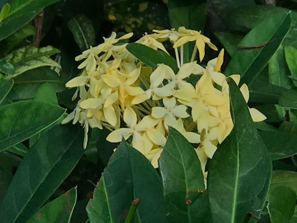 iphone7plus评测,苹果7plus测评还值得购买吗