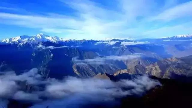 奇葩牧场|不养牛不养羊,居然养这个?