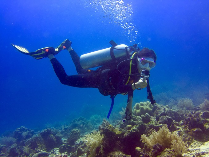 菲律宾潜水攻略 (菲律宾潜水游记)