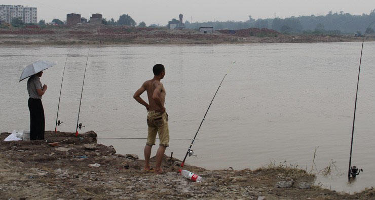 看看江边垂钓忙，钓鱼人渔获不小哟