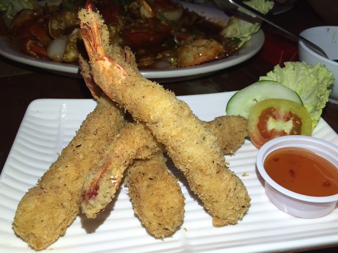 菲律宾潜水游记 (回忆菲律宾潜水的时光)