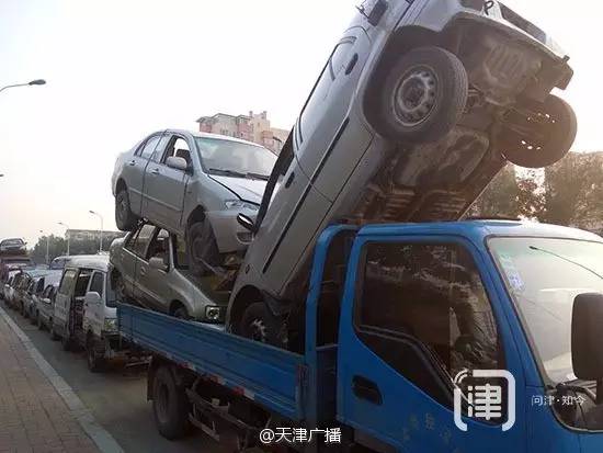 天津查获非法捕鸟,天津违法捕鸟