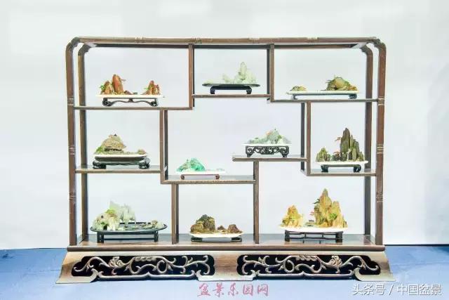 哪些野草适合微型盆景,小品盆景和微型盆景有区别吗