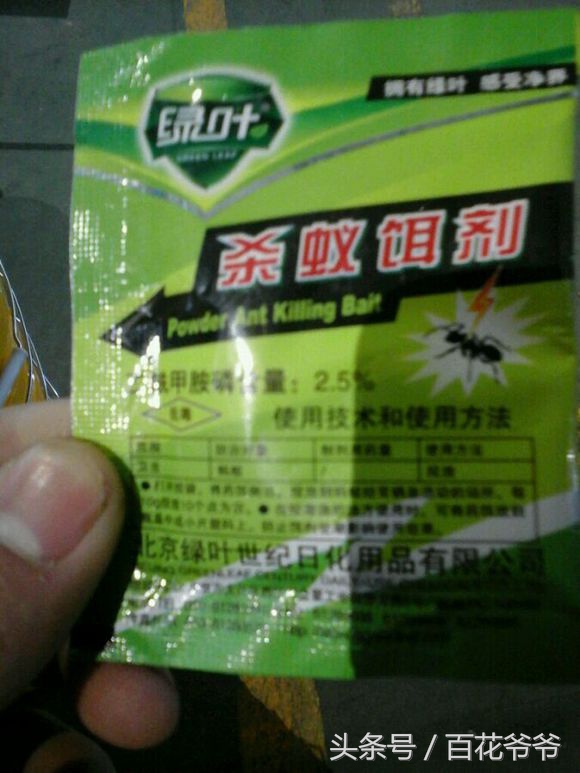 家里花盆中的蚂蚁如何彻底清除,家里花盆跟前有蚂蚁怎么办