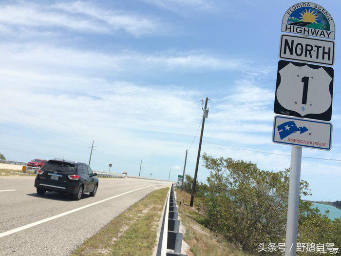 野鹅旅行,野鹅自驾无人区