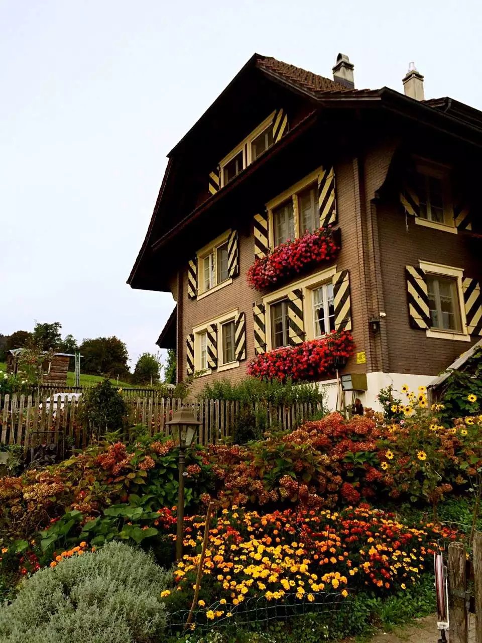 蓝瘦香菇在这里视频,蓝瘦香菇在法国