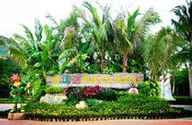 三亚旅游全攻略大概多少钱,三亚吃喝玩乐全攻略