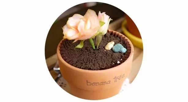 去韩国必吃的十大美食,去韩国十大必买的吃的