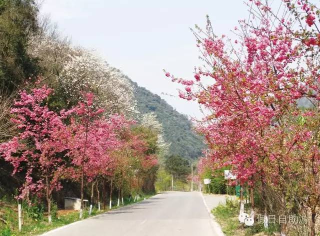 昆明周边游青龙峡,昆明青龙峡一日游攻略