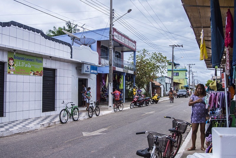 宝莲灯亚马逊,亚马逊雨林的宝莲灯
