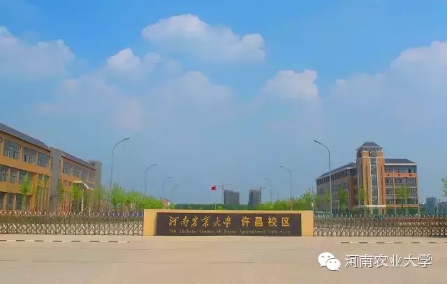 特别策划三分钟过后，农大小石榴马上开挂成老鸟！