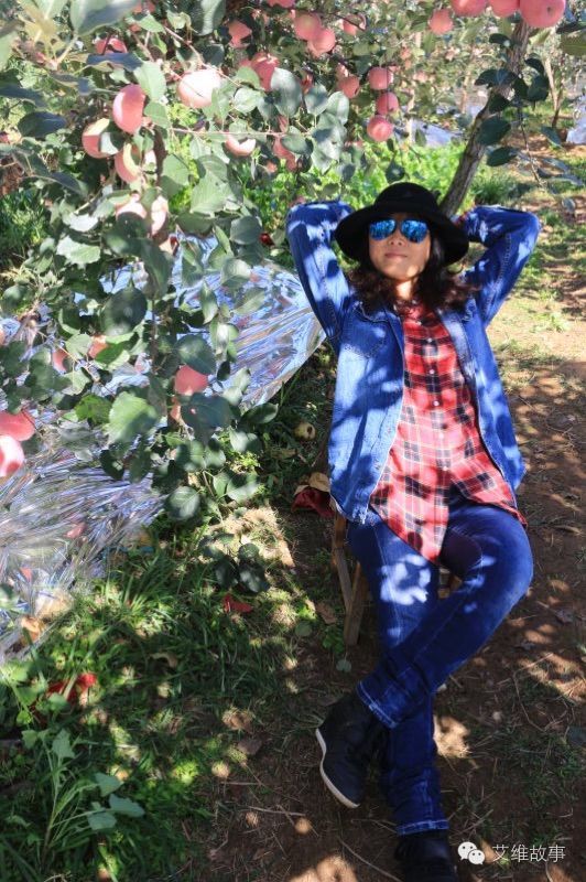 艾维wwoofer之：从艾维的世界路过