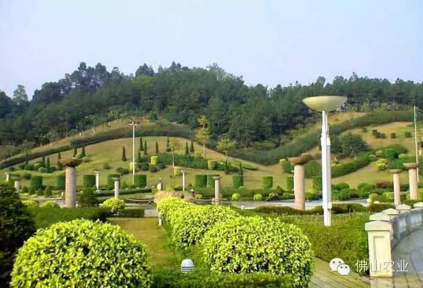 广东省重阳登高好去处,佛山重阳登高有哪些山