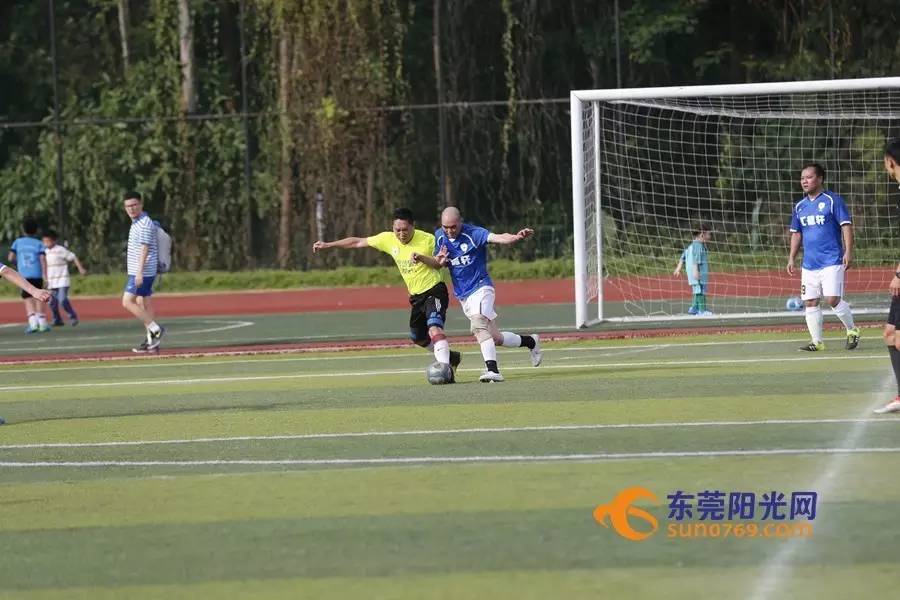 厉害了我的哥小品综艺,厉害了我的哥第一季第二期