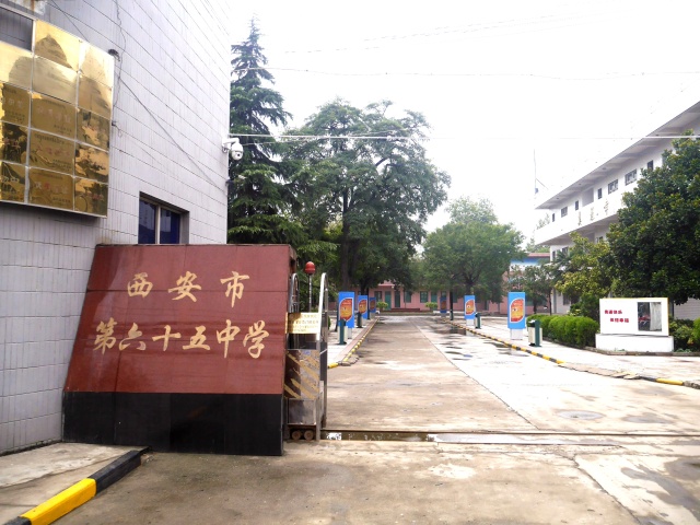 国际港务区有什么好的公办初中吗,国际港务区哪个小学最好