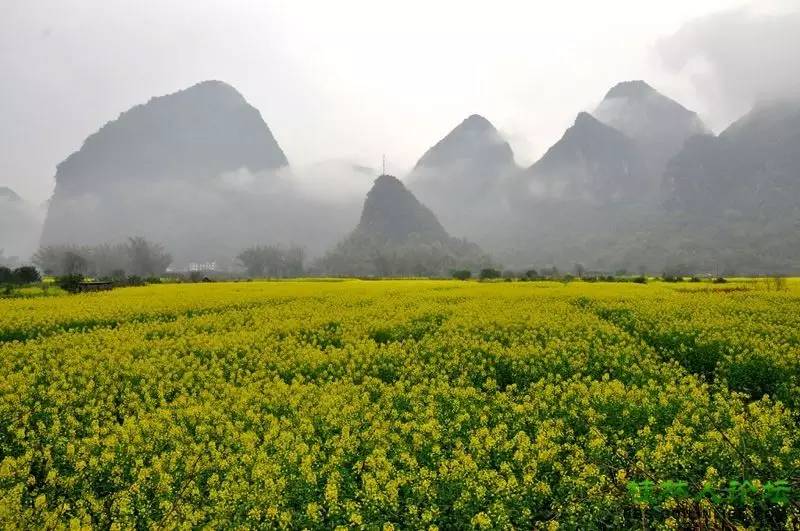广西哪些地方风景好,广西哪些山好玩