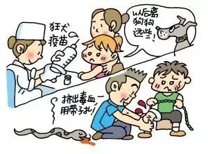 婴幼儿被动物咬伤急救,宝宝被小动物咬伤了怎么办